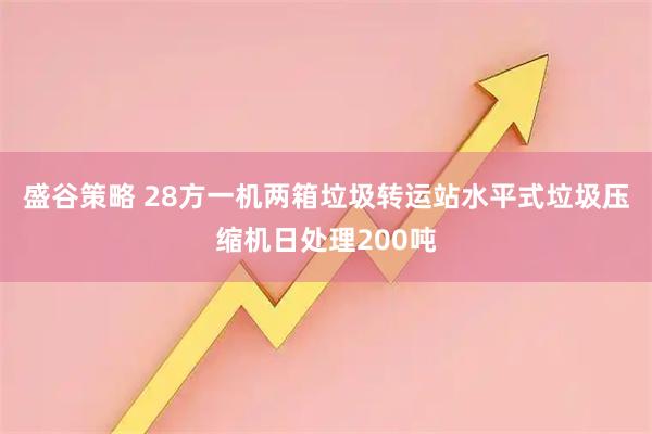 盛谷策略 28方一机两箱垃圾转运站水平式垃圾压缩机日处理200吨