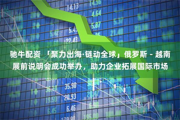 驰牛配资 「聚力出海·链动全球」俄罗斯－越南展前说明会成功举办，助力企业拓展国际市场