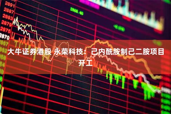 大牛证券港股 永荣科技：己内酰胺制己二胺项目开工