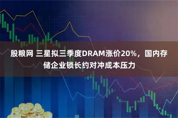 股粮网 三星拟三季度DRAM涨价20%，国内存储企业锁长约对冲成本压力