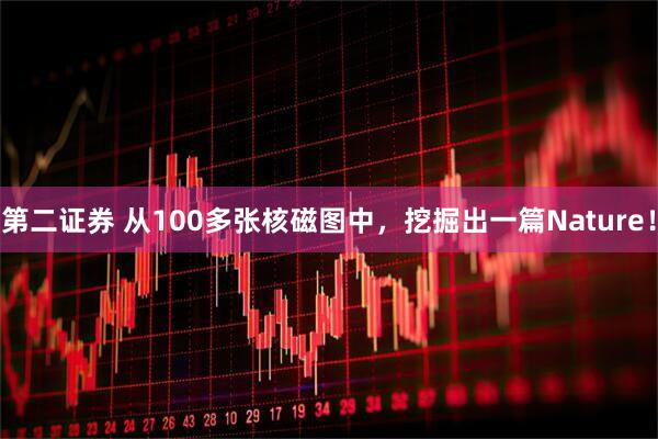 第二证券 从100多张核磁图中，挖掘出一篇Nature！